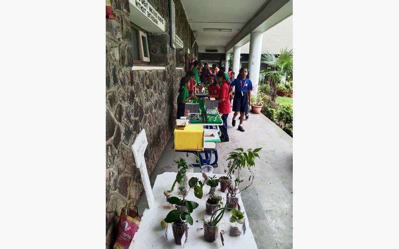 Science Club Activity Day