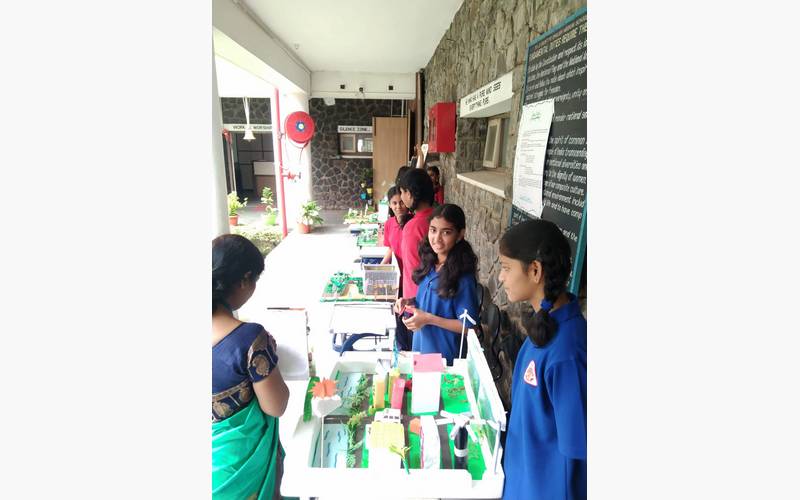 Science Club Activity Day - Image 2