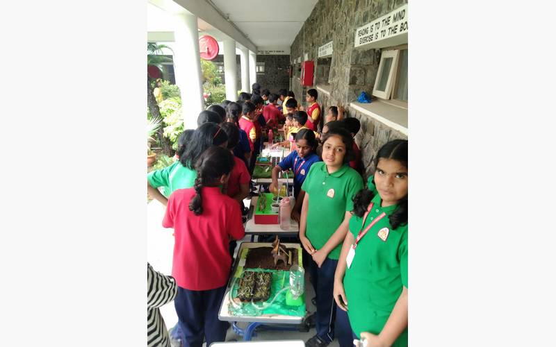 Science Club Activity Day - Image 3